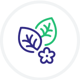 Alt Image